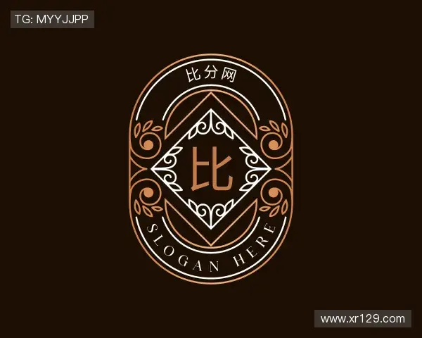 介绍比分网